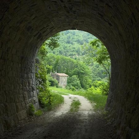 Villa Franka 113 Bašanija 외부 사진