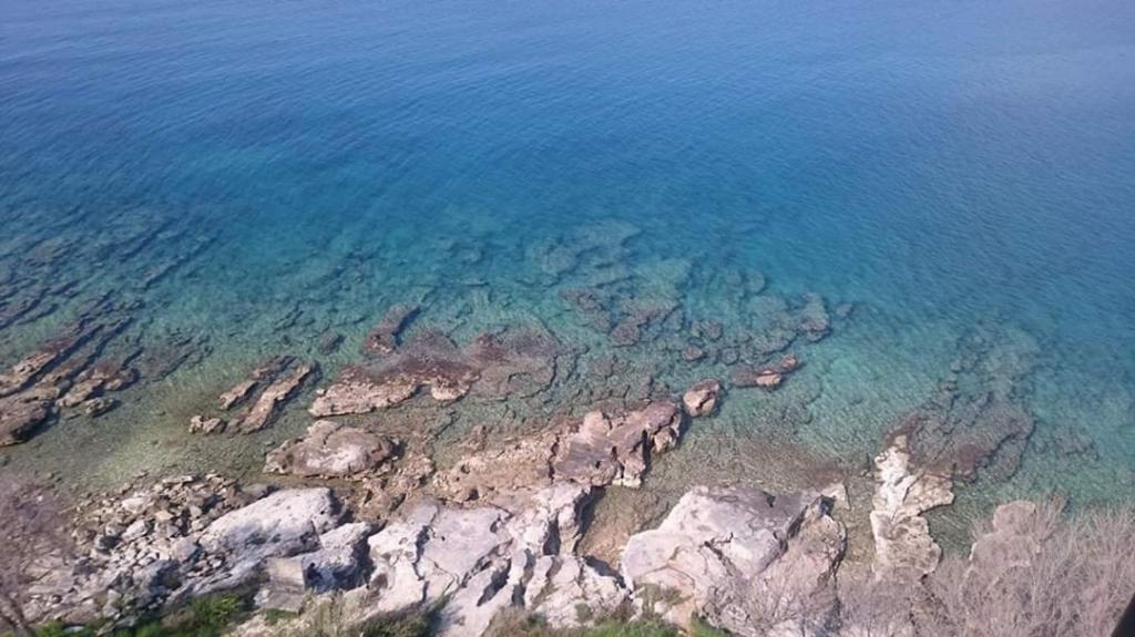 Villa Franka 113 Bašanija 외부 사진