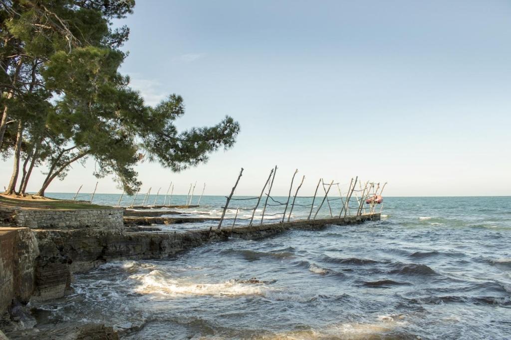 Villa Franka 113 Bašanija 외부 사진