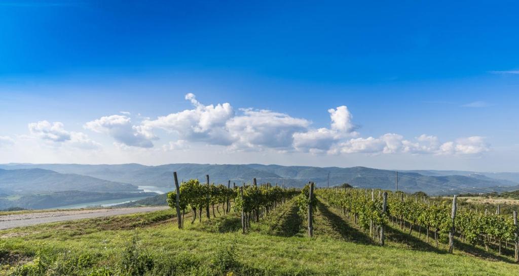 Villa Franka 113 Bašanija 외부 사진